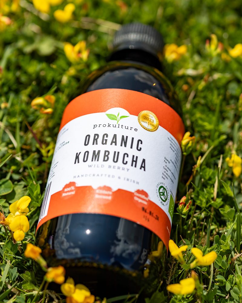 ProKulture Organic Kombucha — Wild Berry